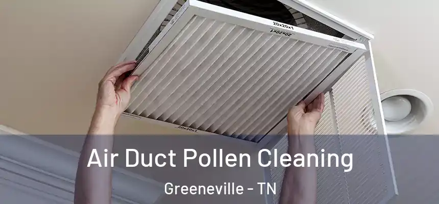  Air Duct Pollen Cleaning Greeneville - TN