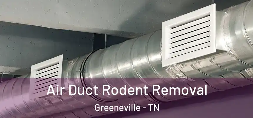 Air Duct Rodent Removal Greeneville - TN