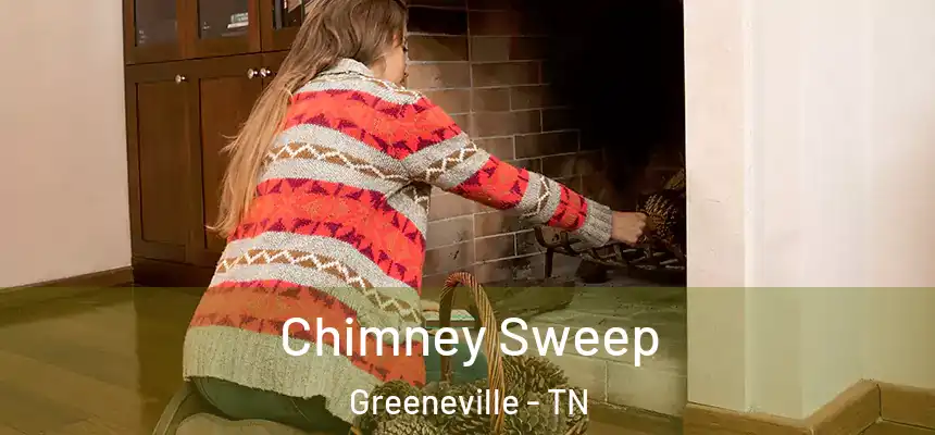 Chimney Sweep Greeneville - TN