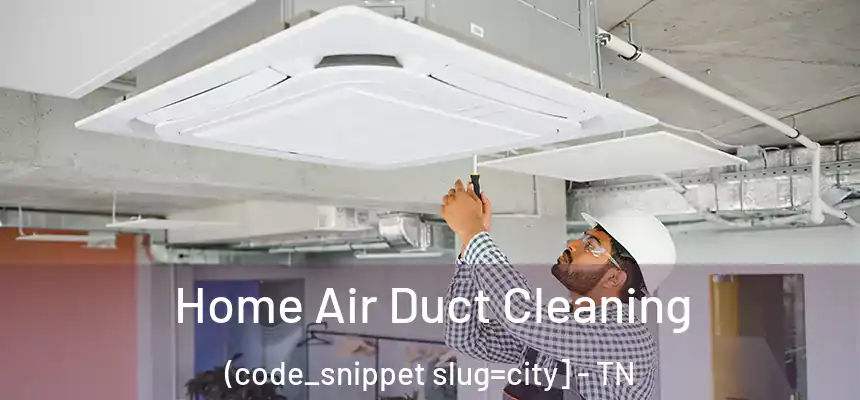  Home Air Duct Cleaning (code_snippet slug=city] - TN