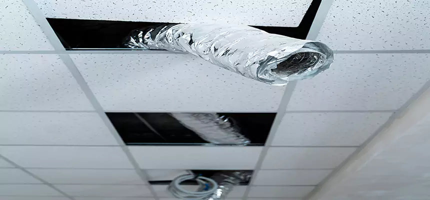 Affordable HVAC Sanitizing After Pest Removal in Greeneville