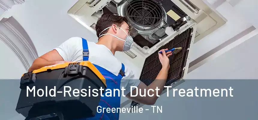 Mold-Resistant Duct Treatment Greeneville - TN