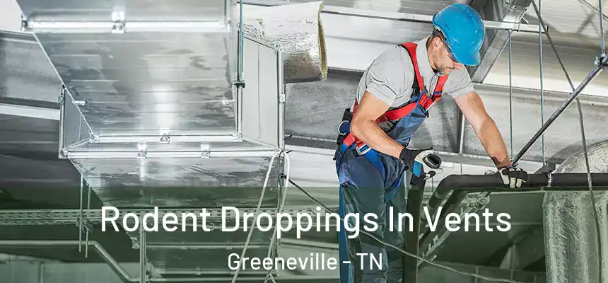 Rodent Droppings In Vents Greeneville - TN