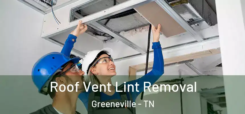 Roof Vent Lint Removal Greeneville - TN