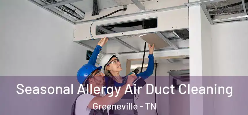  Seasonal Allergy Air Duct Cleaning Greeneville - TN