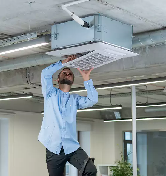 Advanced Rodent Droppings In Vents in Greeneville, TN