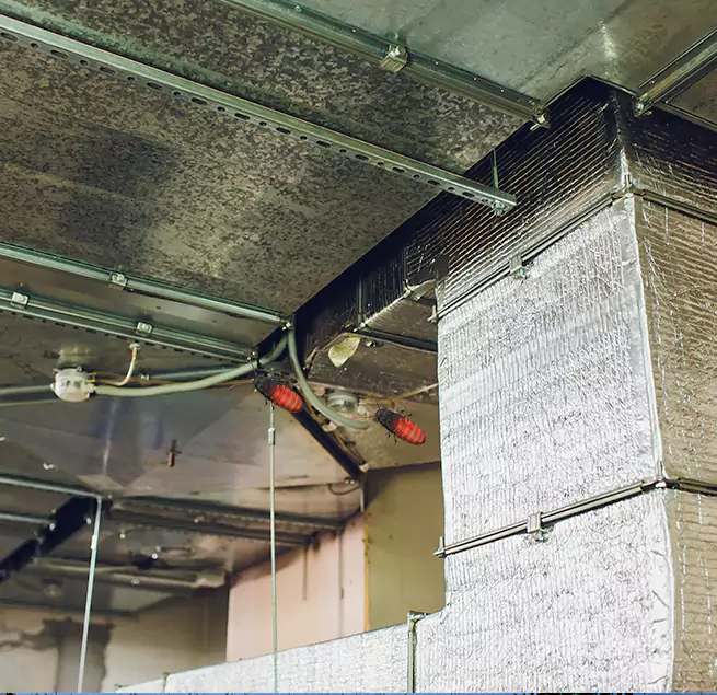 Why Homeowners & Businesses Trust Us in Greeneville, TN?